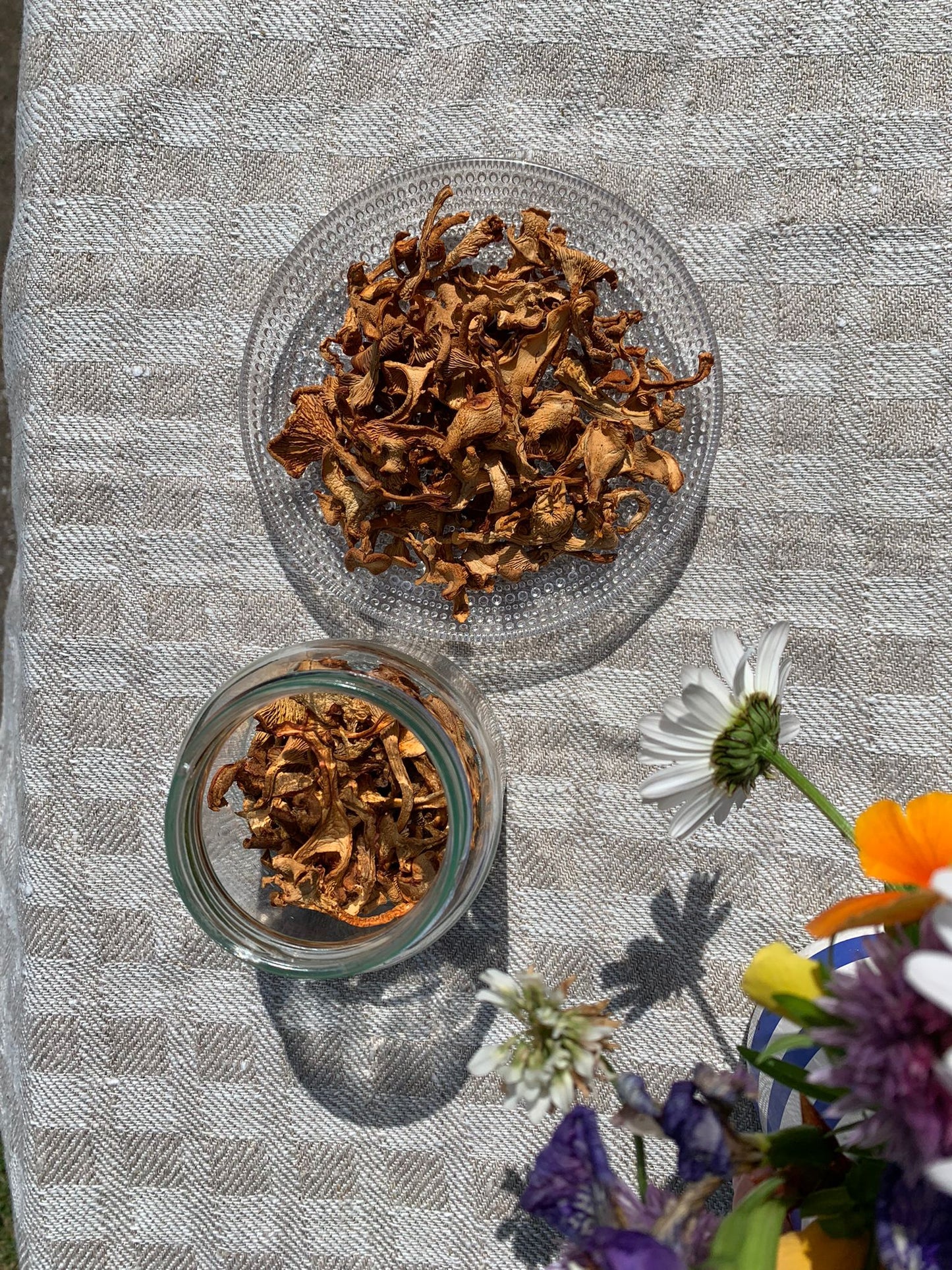 Girolles séchées Récolte exclusive par Finlande Sauvage Juin/Juillet 2025