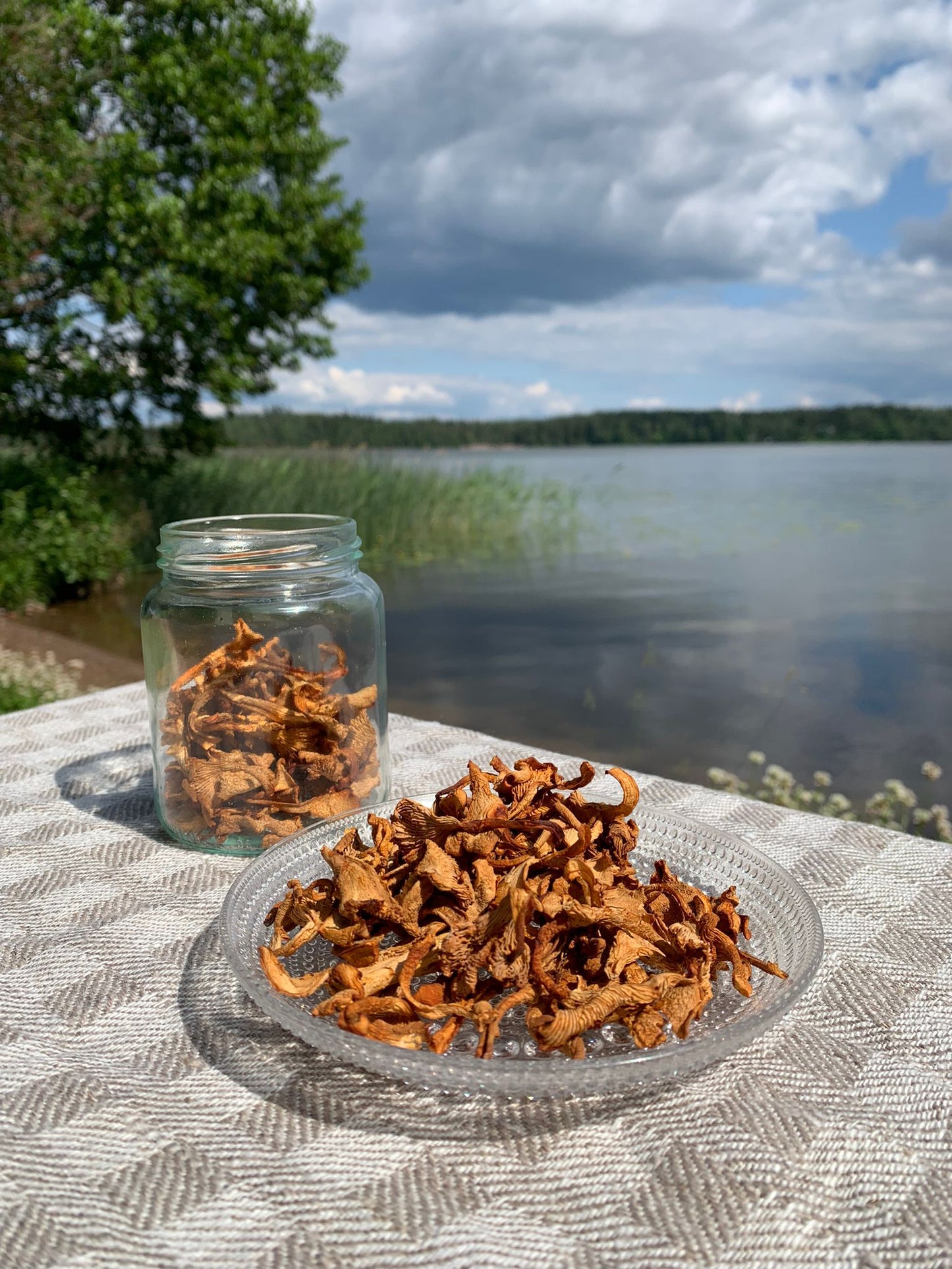 Girolles séchées Récolte exclusive par Finlande Sauvage Juin/Juillet 2025