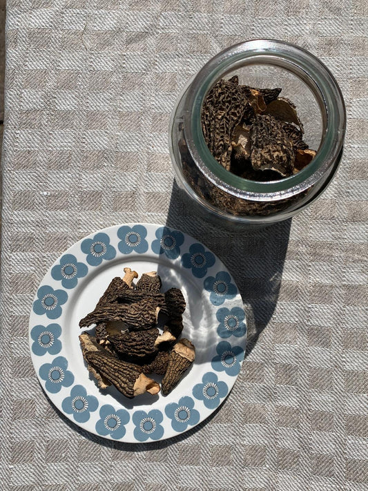 Morilles Récolte Mai 2025 * stock ultra limité *