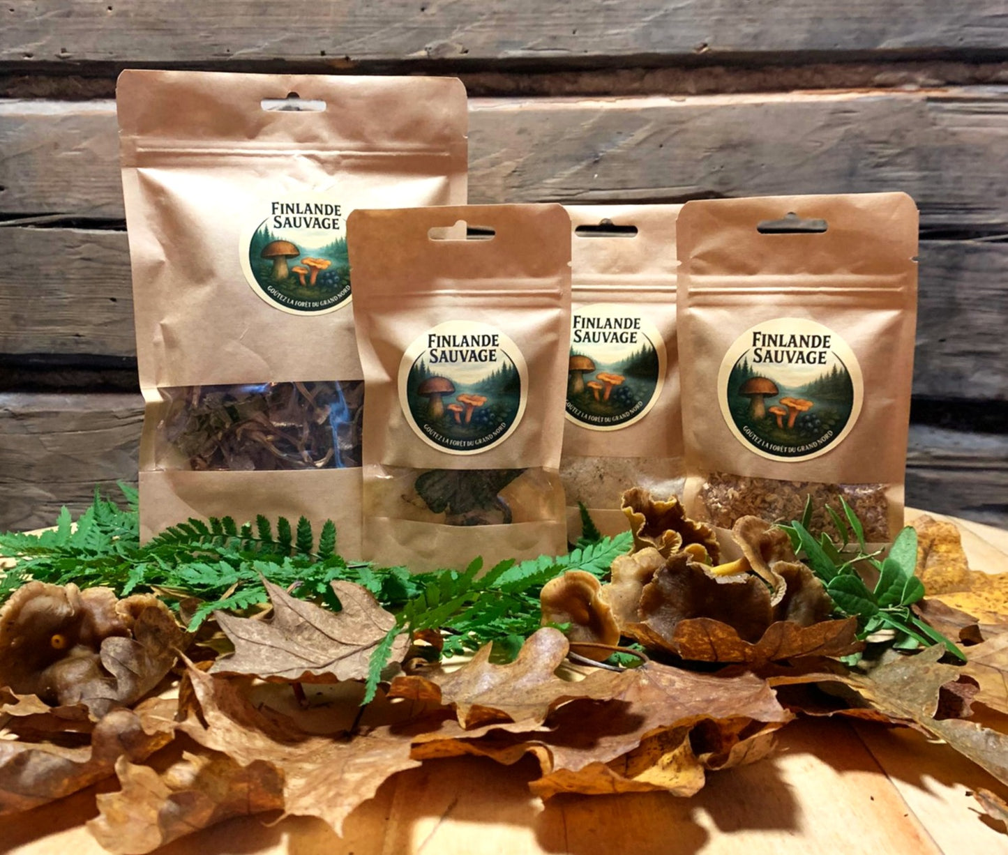 Trésor des sous-bois