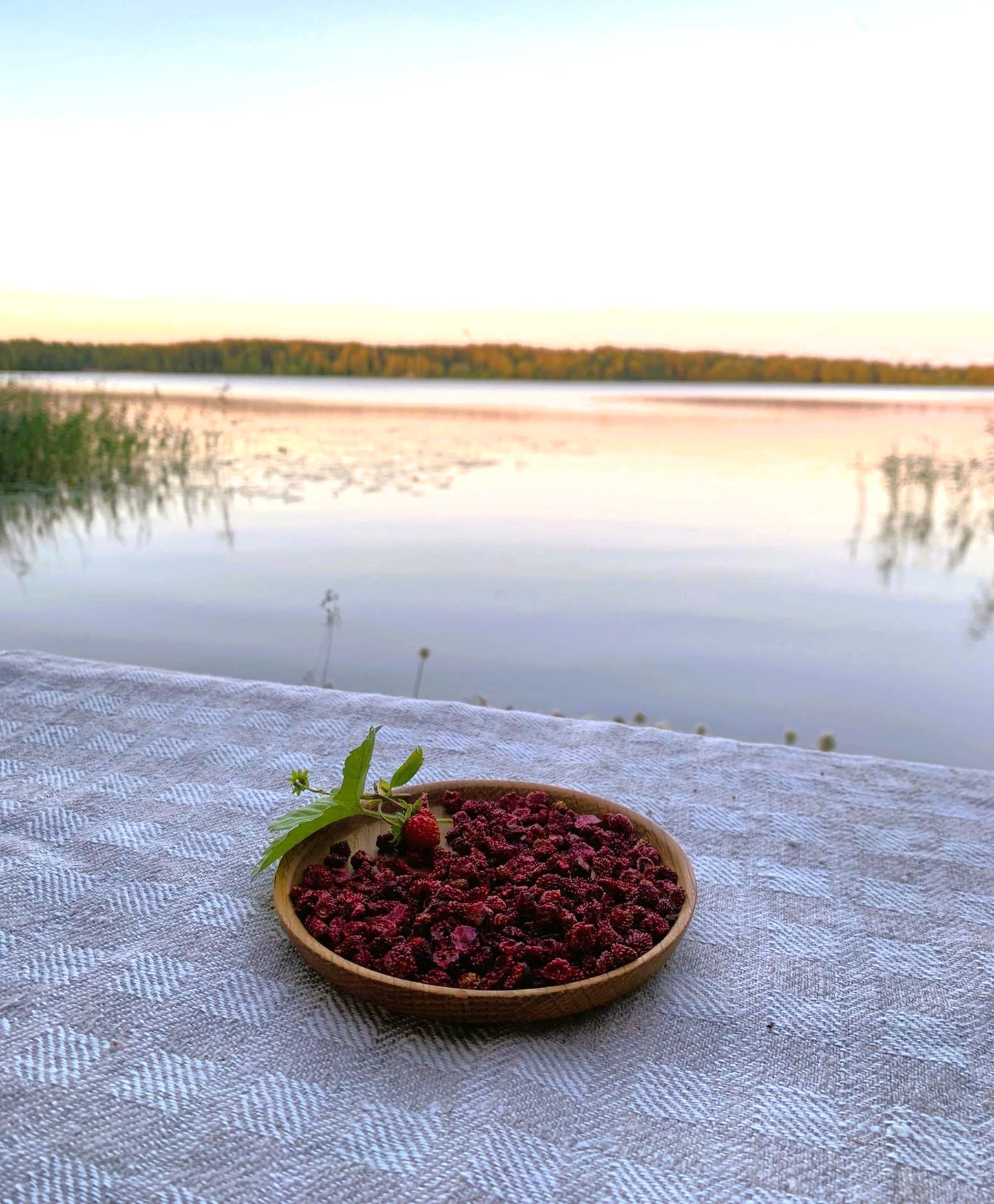 Fraises des bois séchées - Récolte exclusive par Finlande Sauvage - début Juillet 2025